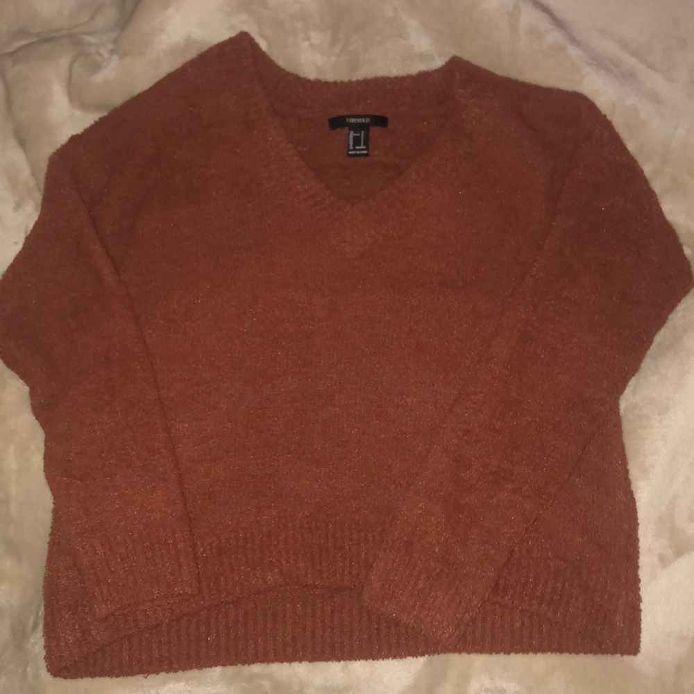 Forever 21 Burnt Orange/Tan Fuzzy Sweater